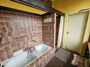 Pronájem bytu 4+1, Plzeň - Východní Předměstí, Americká, 152 m2