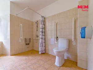 Pronájem bytu 1+kk, Vlčice, 41 m2