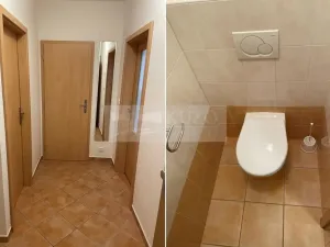 Pronájem bytu 2+kk, Plzeň - Východní Předměstí, Květná, 51 m2