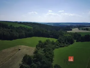 Prodej rodinného domu, Břasy - Vranovice, 139 m2