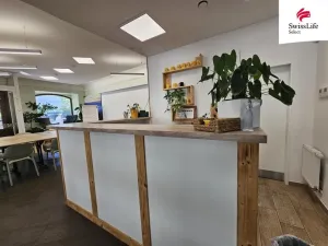 Pronájem komerční nemovitosti, Jihlava, Matky Boží, 151 m2
