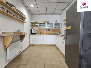 Pronájem komerční nemovitosti, Jihlava, Matky Boží, 151 m2