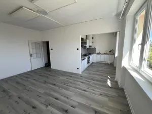 Pronájem bytu 2+1, Horní Litvínov, Vinohradská, 56 m2