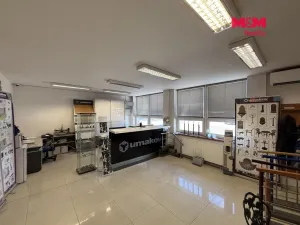 Pronájem obchodního prostoru, Hradec Králové - Plotiště nad Labem, Náchodská, 341 m2
