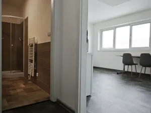 Pronájem bytu 1+kk, Brno, Skorkovského, 30 m2