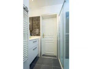 Pronájem bytu 2+kk, Praha - Karlín, Thámova, 43 m2