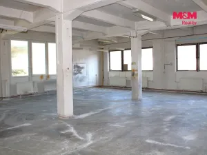 Pronájem výrobních prostor, Nová Paka, Kotíkova, 330 m2