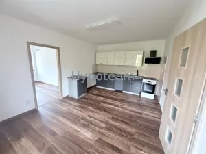 Pronájem bytu 2+kk, Ústí nad Labem, okres ústí nad labem, Resslova, 48 m2