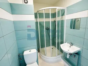Pronájem bytu 1+1, Neředín, Stupkova, 32 m2