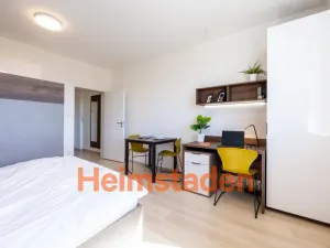Pronájem bytu 1+kk, Plzeň-Jižní Předměstí, Magisterská, 27 m2