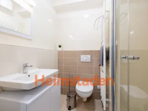 Pronájem bytu 1+kk, Plzeň-Jižní Předměstí, Magisterská, 27 m2