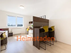 Pronájem bytu 1+kk, Plzeň-Jižní Předměstí, Magisterská, 27 m2