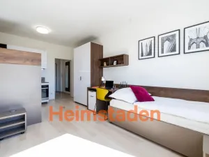 Pronájem bytu 1+kk, Plzeň-Jižní Předměstí, Magisterská, 27 m2
