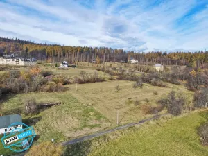 Prodej pozemku pro bydlení, Město Albrechtice, 3681 m2