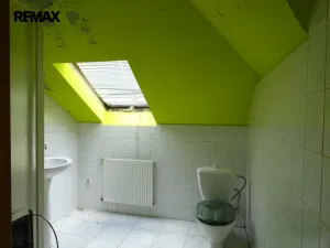 Prodej vícegeneračního domu, Luby - Horní Luby, 250 m2