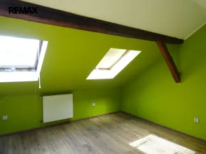 Prodej vícegeneračního domu, Luby - Horní Luby, 250 m2