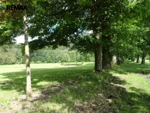 Prodej vícegeneračního domu, Luby - Horní Luby, 250 m2