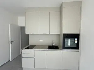 Pronájem bytu 1+kk, Praha - Vysočany, Gerstelova, 43 m2