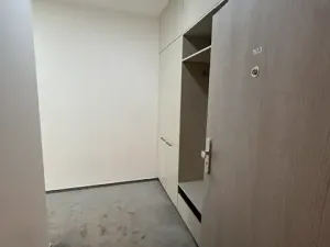 Pronájem bytu 1+kk, Praha - Vysočany, Gerstelova, 43 m2