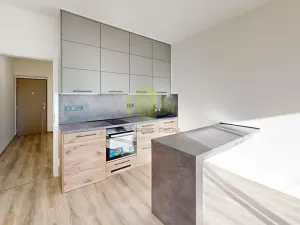 Pronájem bytu 1+kk, Olomouc, Frištenského, 32 m2