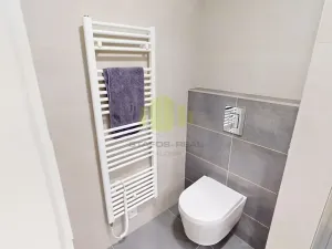 Pronájem bytu 1+kk, Olomouc, Frištenského, 32 m2