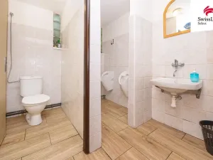 Prodej komerční nemovitosti, Holice, Holubova, 253 m2