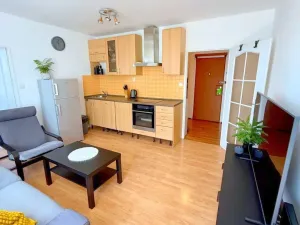 Pronájem bytu 1+1, Praha - Lhotka, Jílovská, 40 m2