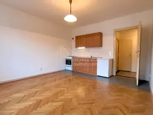 Pronájem bytu 1+kk, Praha - Strašnice, Nad Primaskou, 23 m2