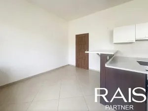 Prodej bytu 2+kk, Brno, Svitavská, 89 m2