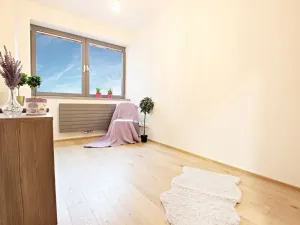 Pronájem bytu 3+kk, Brno - Staré Brno, Anenská, 105 m2