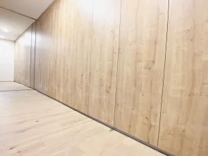 Pronájem bytu 3+kk, Brno - Staré Brno, Anenská, 105 m2