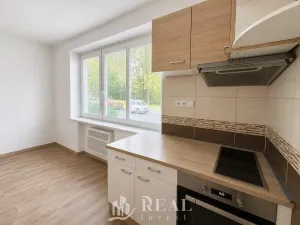 Prodej bytu 1+kk, Louny, Přemyslovců, 23 m2