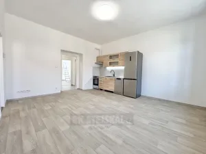 Pronájem bytu 3+kk, České Budějovice - České Budějovice 5, Dobrovodská, 60 m2