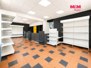 Pronájem obchodního prostoru, Králův Dvůr, Plzeňská, 405 m2