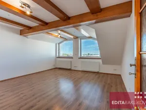 Prodej bytu 3+kk, Olomouc, Hodolanská, 112 m2