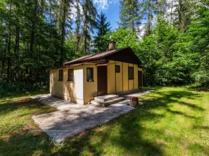 Prodej chaty, Stará Huť, 38 m2