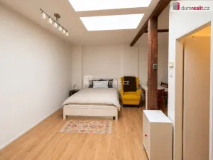 Pronájem bytu 1+kk, Praha - Smíchov, Lidická, 34 m2