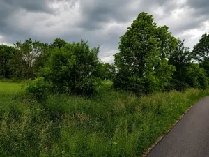 Prodej pozemku, Volary, Soumarská, 8002 m2