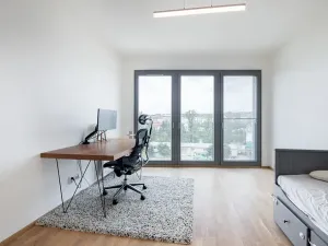 Pronájem bytu 4+kk, Praha - Karlín, Breitfeldova, 110 m2