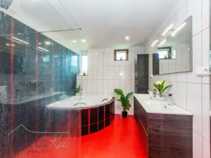 Prodej rodinného domu, Zduchovice, 159 m2