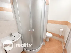 Prodej bytu 1+1, Brno - Bystrc, Kuršova, 45 m2