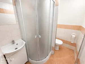 Prodej bytu 1+1, Brno - Bystrc, Kuršova, 45 m2
