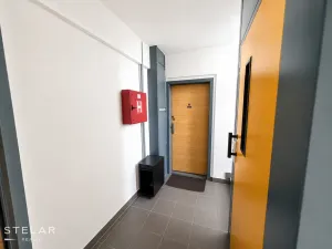 Prodej bytu 1+1, Brno - Bystrc, Kuršova, 45 m2