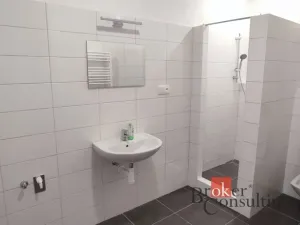 Pronájem bytu 2+kk, Ostrava - Moravská Ostrava, Mlýnská, 63 m2