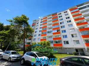 Prodej bytu 1+1, Brno, Kuršova, 45 m2