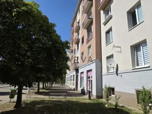 Pronájem bytu 3+kk, Plzeň - Východní Předměstí, Francouzská třída, 60 m2