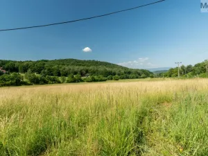 Prodej komerčního pozemku, Braňany - Kaňkov, 23391 m2