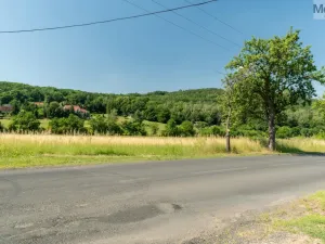 Prodej komerčního pozemku, Braňany - Kaňkov, 23391 m2