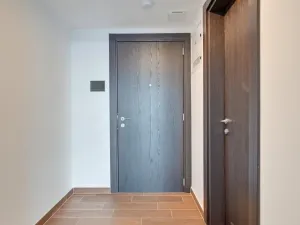 Pronájem bytu 2+kk, Olomouc - Nová Ulice, Třída Jiřího Pelikána, 57 m2