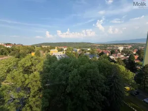 Prodej bytu 2+1, Bílina - Pražské Předměstí, Aléská, 48 m2